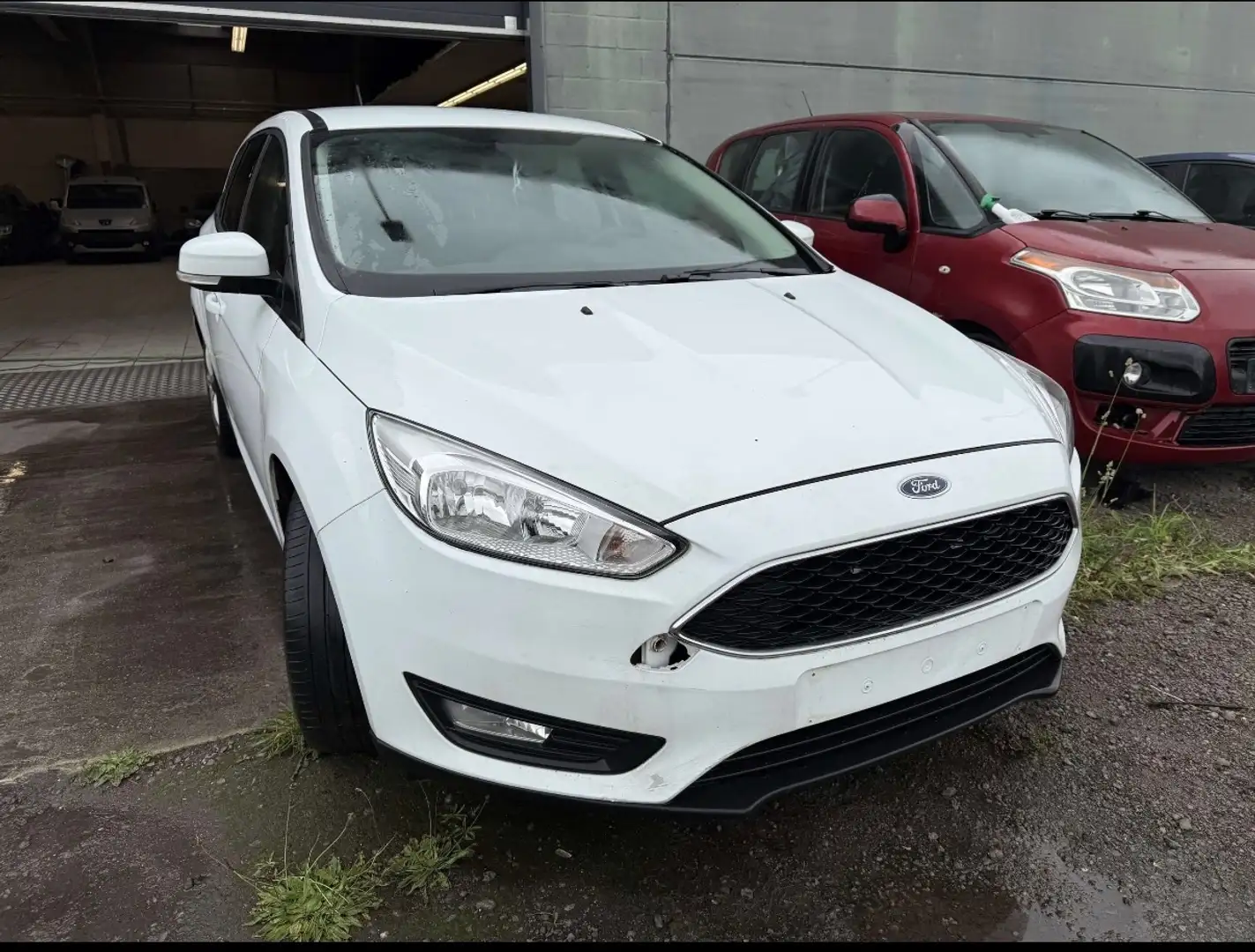 Ford Focus Focus 1.5 TDCi Business Class PowerShift - 2