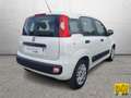 Fiat Panda Panda 1.2 easypower Pop Gpl 69cv E6 - thumbnail 3