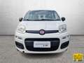 Fiat Panda Panda 1.2 easypower Pop Gpl 69cv E6 - thumbnail 5