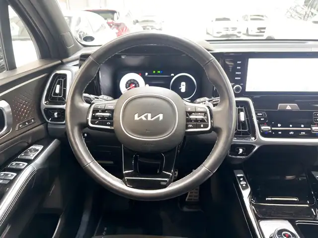 Kia Sorento view 10