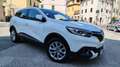 Renault Kadjar Kadjar 1.5 dci energy Intens 110cv edc Bianco - thumbnail 2