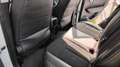 Renault Kadjar Kadjar 1.5 dci energy Intens 110cv edc Bianco - thumbnail 10