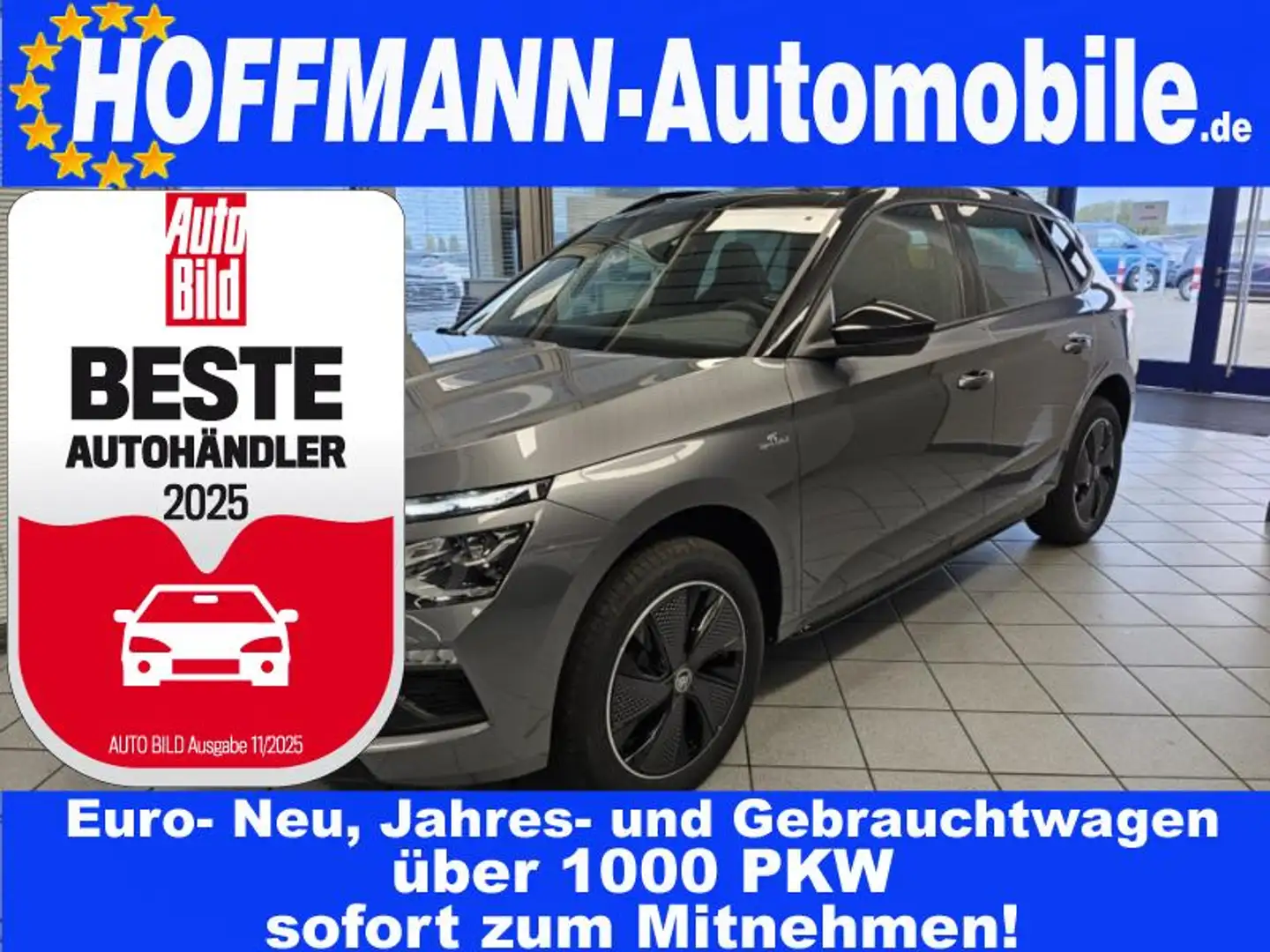 Skoda Kamiq Monte Carlo Climatr,Matrix-LED,Kamera,PDC Gri - 1