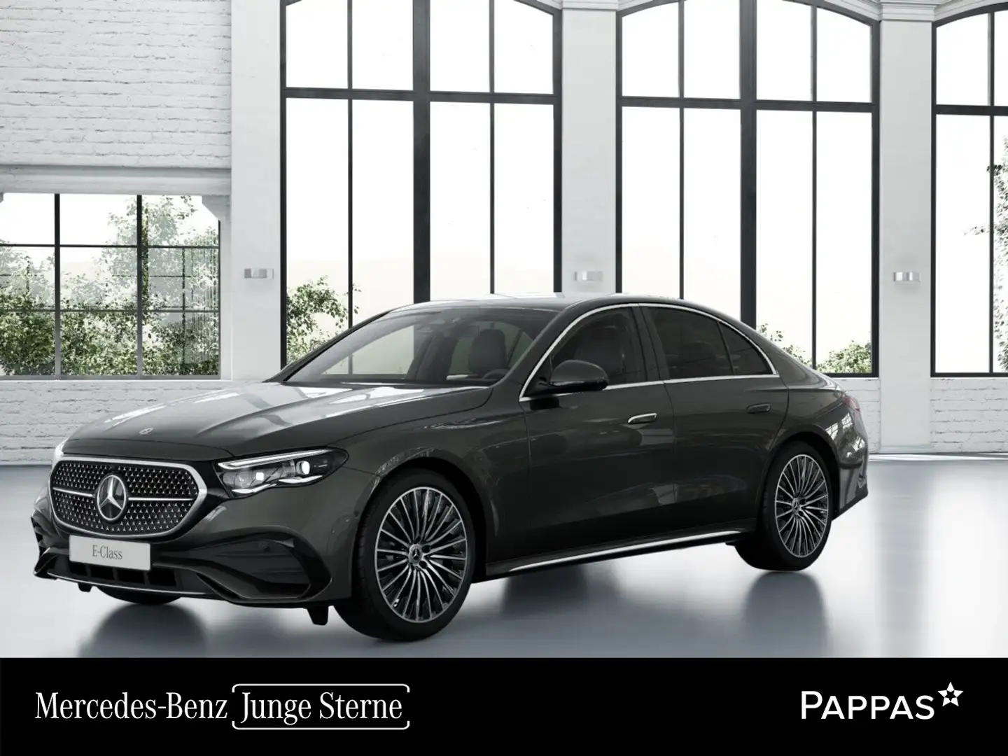 Mercedes-Benz E 220 d Limousine LED PTS Cam AHK SHZ Grau - 1