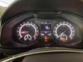 Skoda Karoq 2.0 tdi evo Executive 115cv dsg Nero - thumbnail 10