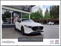 Mazda 3 2024 5HB 2.0L e-SKYACTIV X 186ps 6MT AWD HOMURA Weiß - thumbnail 1