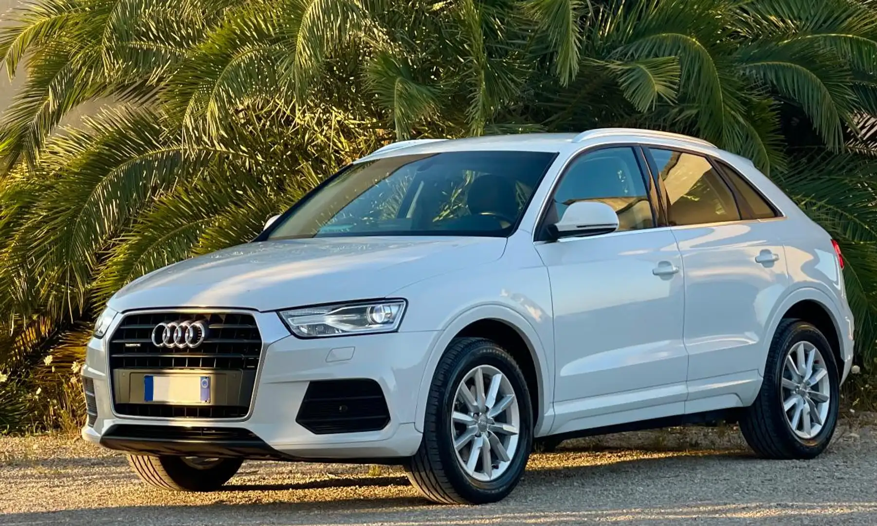 Audi Q3 2.0 TDI 150 CV quattro S tronic Design Wit - 2