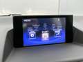 Lexus CT 200h Individual | Leer | Lexus Navigatie | Cruise Contr Gris - thumbnail 43