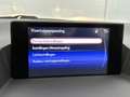 Lexus CT 200h Individual | Leer | Lexus Navigatie | Cruise Contr Gris - thumbnail 28