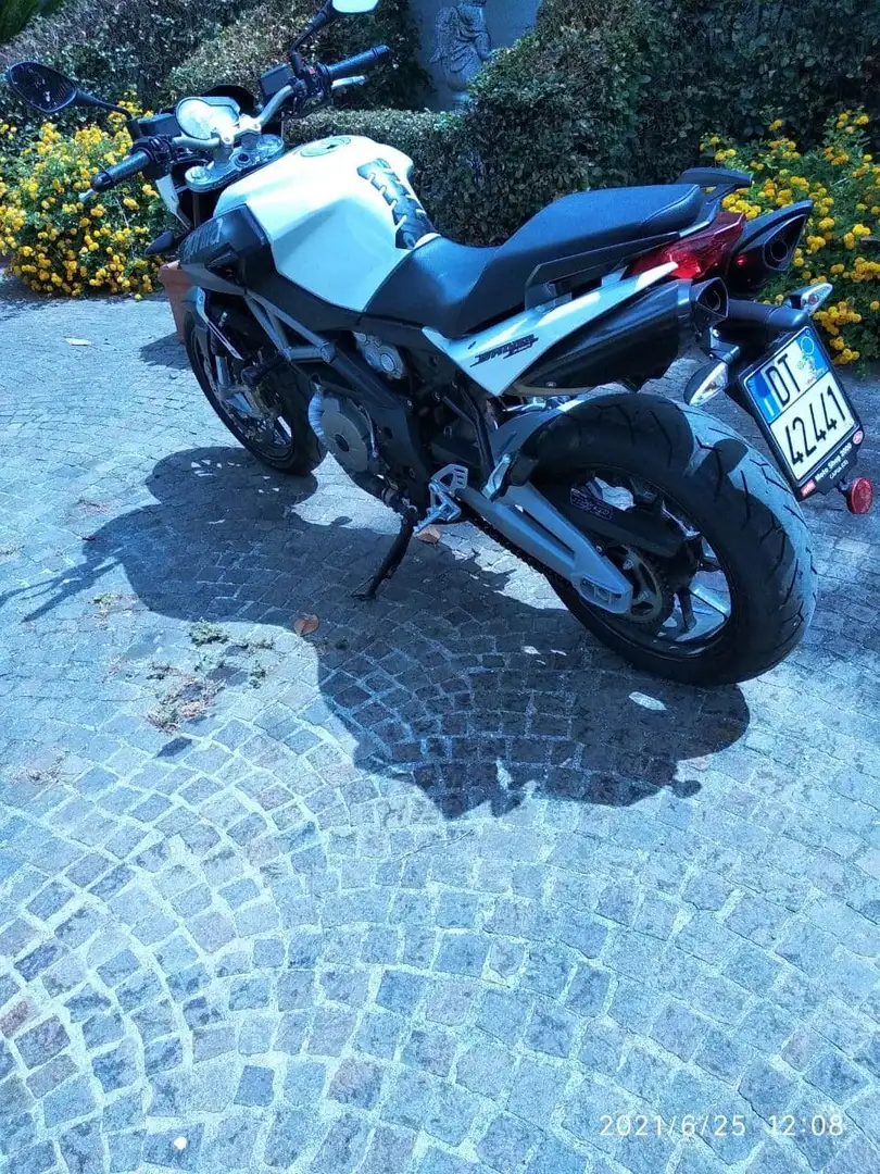 Aprilia Shiver 750 MY 2010 bijela - 2