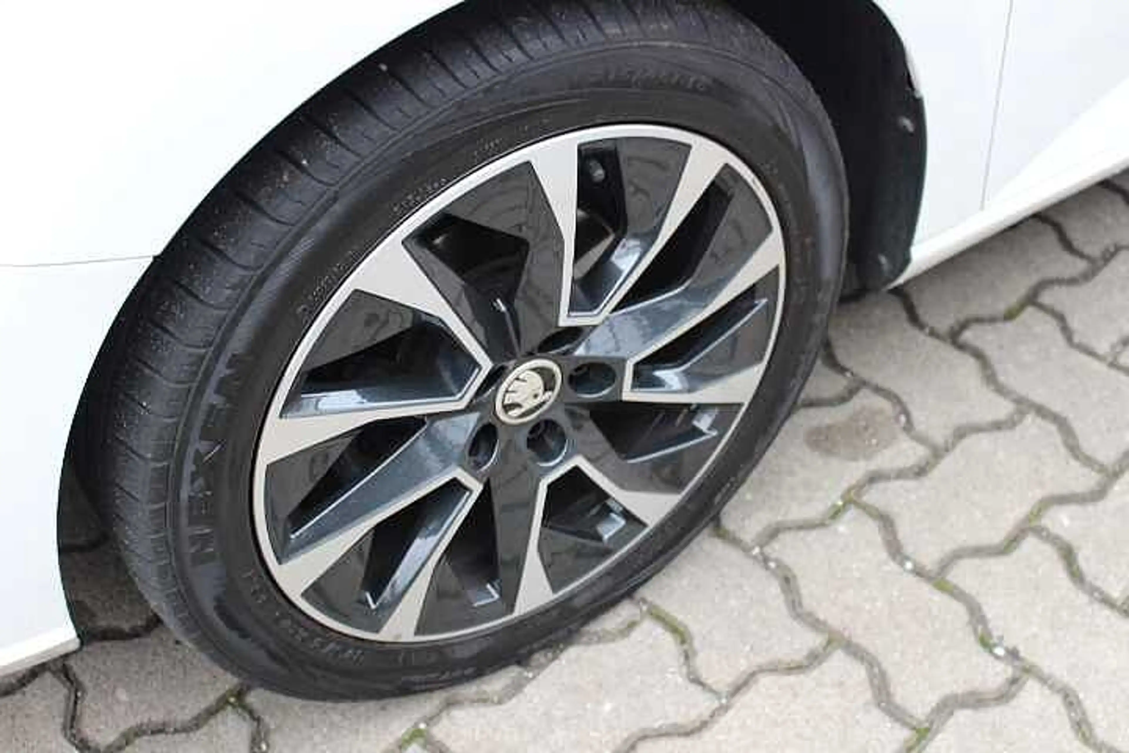Skoda Fabia Best of Drive 125 Years Combi — photo 26