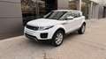 Land Rover Range Rover Evoque 2.0TD4 Pure 4WD Aut. 150 Blanco - thumbnail 12