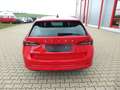 Skoda Octavia 1.5 TSI DSG Ambition LED ACC Spur DAB Roşu - thumbnail 8