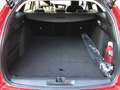 Opel Astra L ST 1.6 Turbo PHEV *ACC*LED*DAB* Rot - thumbnail 14