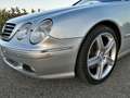 Mercedes-Benz CL 600 Argintiu - thumbnail 9