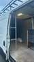 Iveco Daily 35 C 11A8 Urban Wit - thumbnail 11