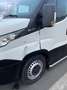 Iveco Daily 35 C 11A8 Urban Wit - thumbnail 10