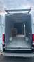 Iveco Daily 35 C 11A8 Urban Wit - thumbnail 7