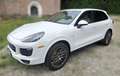 Porsche Cayenne Cayenne S E-Hybrid Platinum Edition Weiß - thumbnail 2