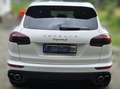 Porsche Cayenne Cayenne S E-Hybrid Platinum Edition Weiß - thumbnail 4