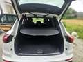Porsche Cayenne Cayenne S E-Hybrid Platinum Edition Weiß - thumbnail 8