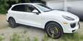 Porsche Cayenne Cayenne S E-Hybrid Platinum Edition Weiß - thumbnail 3