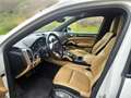 Porsche Cayenne Cayenne S E-Hybrid Platinum Edition Weiß - thumbnail 6