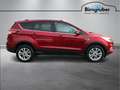 Ford Kuga 1,5 TDCi Titanium Start/Stop Powers Rot - thumbnail 3