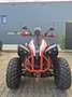 Can-Am Renegade XMR Blanc - thumbnail 2