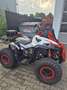 Can-Am Renegade XMR Blanc - thumbnail 3