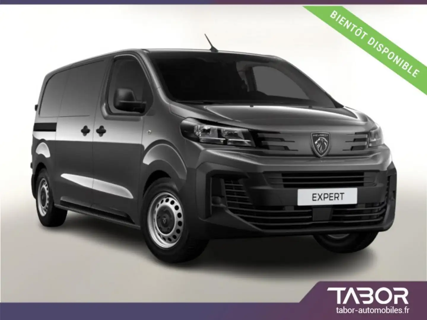 Peugeot Expert 2.0 BHDi 180 AT8 L2 3pl PDC Temp Серый - 1