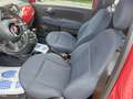Fiat 500 ott-2021 3P / BERLINA 1.0 70CV IBRIDO CULT Rosso - thumbnail 10