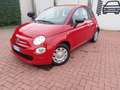 Fiat 500 ott-2021 3P / BERLINA 1.0 70CV IBRIDO CULT Rouge - thumbnail 27