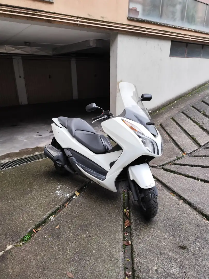 Honda Forza 300 Blanco - 1