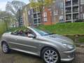 Peugeot 206 1.6-16V Roland G. Zilver - thumbnail 7