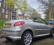 Peugeot 206 1.6-16V Roland G. Zilver - thumbnail 2