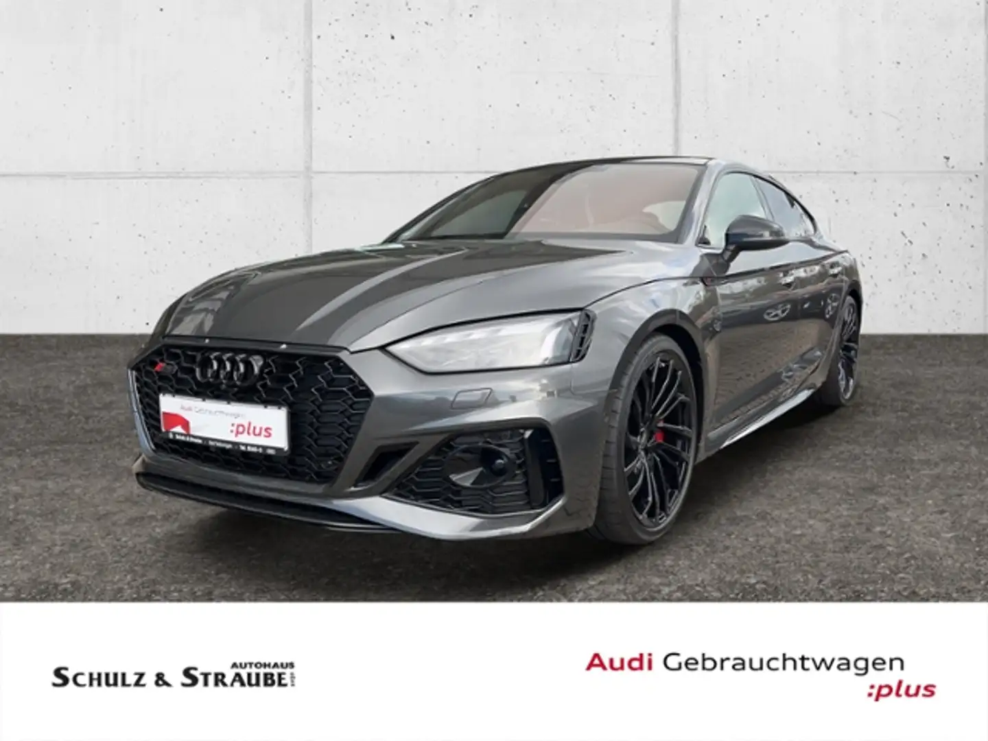 Audi RS5 Sportback  2.9 TFSI quattro KLIMA LED NAVI Серый - 2