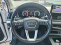 Audi Q5 40 TDI 204 CV quattro S tronic Advanced Plus Blanc - thumbnail 11