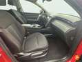 Hyundai TUCSON 1.6 CRDI 100kW (136CV) 48V Tecno Sky DCT Rouge - thumbnail 23