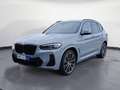 BMW X3 xDrive30d AT M Sportpaket Innovationsp. RFT Grau - thumbnail 2