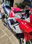 Honda CBR 600 f Rosso - thumbnail 5