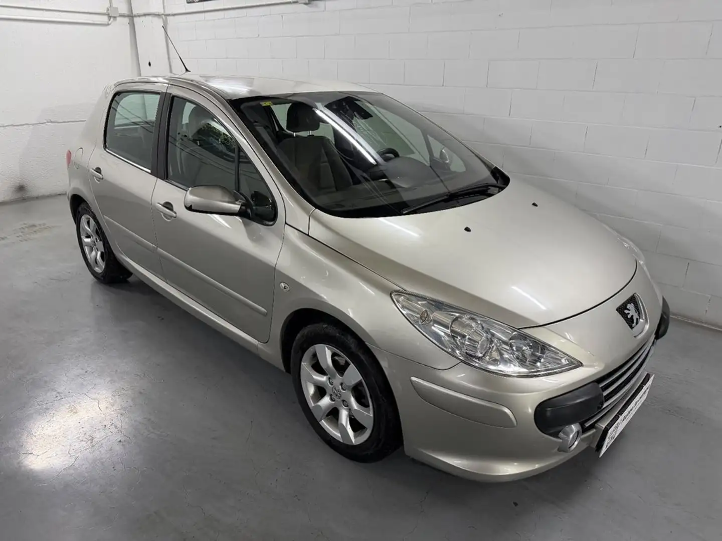 Peugeot 307 1.6 XT Auto Gris - 1