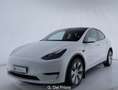 Tesla Model Y Long Range AWD Blanc - thumbnail 1