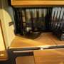 Volkswagen T6.1 Offtrack Camper Wohnmobil Aufstelldach - thumbnail 13