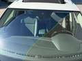Volkswagen Tiguan 1.4 TSI Tech&Go 92kW Blanco - thumbnail 22
