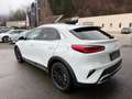 Kia XCeed Xceed 1,5 TGDI GPF Silber UVO isg Weiß - thumbnail 6