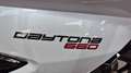 Triumph Daytona 650 DAYTONA 660 ***MOTODOC.BE*** Bianco - thumbnail 4