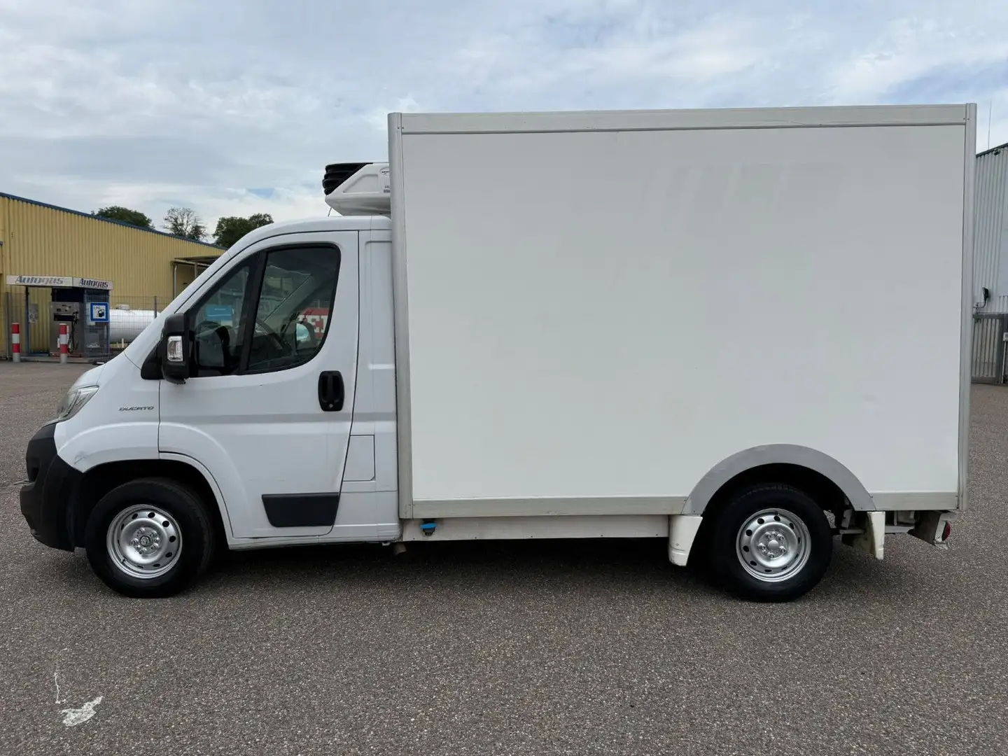 Fiat Ducato *Carrier Xarios 350*ABS*ESP* Weiß - 2