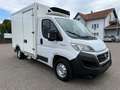 Fiat Ducato *Carrier Xarios 350*ABS*ESP* Weiß - thumbnail 8