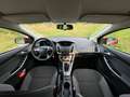 Ford Focus Focus 1.6 TI-VCTAmbiente Rot - thumbnail 5